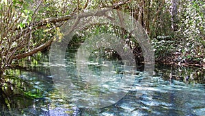 Flotation in the Triste River Nobres Mato Grosso Brazil.