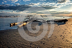 Flotsam and jetsam on Shore in Italy