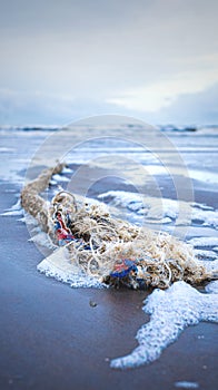 Flotsam at the North Sea beach
