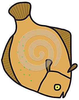 Flounder