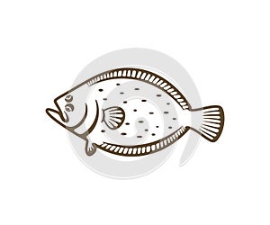 Flounder, fish, fishing, animal, seafood and food, silhouette and graphic design