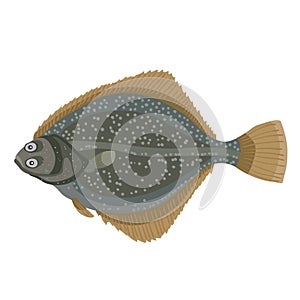 flounder fish in green color, cartoon illustration, isolated object on white background, vector