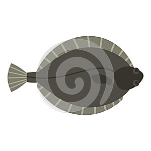 Flounder fish icon