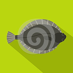 Flounder fish icon, flat style