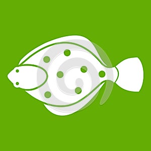 Flounder fish icon green