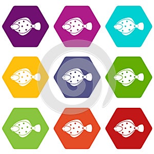 Flounder fish icon set color hexahedron