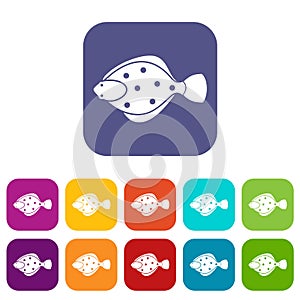 Flounder fish icons set