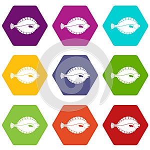 Flounder icon set color hexahedron