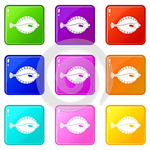 Flounder icons 9 set
