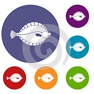 Flounder icons set