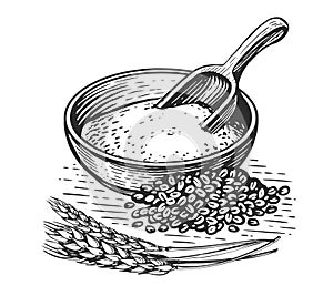 Flour in bowl, wheat grains, wooden scoop and ears of wheat. Healthy Food. Vintage vector illustration in sketch style