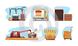 Flour and bread production from harvesting to freshly baked bread set vector illustration