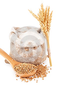 Flour in burlap bag with wheat grain