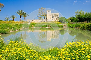 Flour Mill, En Afek