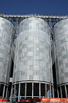 Flour mill silos