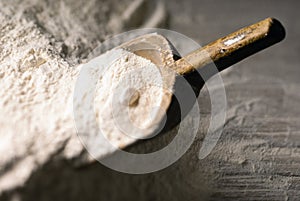 Flour scoop