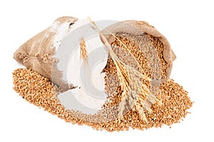 Flour and wheat grain