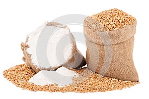 Flour and wheat grain