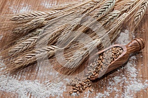 Flour and wheat grains