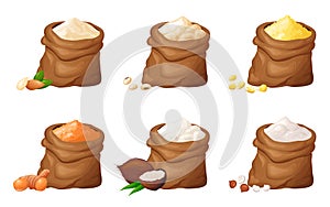 Flour in wooden bowl. Set of gluten free powder in organic product. Healthy organic food. Vector illustration isolated