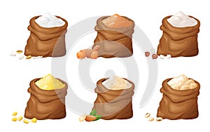 Flour in wooden bowl. Set of gluten free powder in organic product. Healthy organic food. Vector illustration isolated