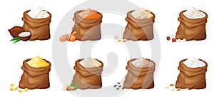 Flour in wooden bowl. Set of gluten free powder in organic product. Healthy organic food. Vector illustration isolated