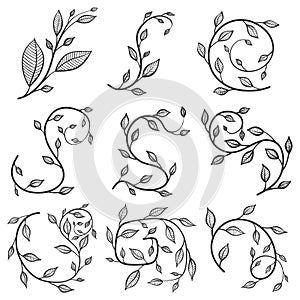 Flourishes, vector concept in doodle style. Hand drawn illustration for printing