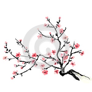 A flourishing branch of cherry, painting. Japanese art.  Bitmap illustration