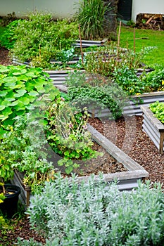 Flourishing Neighbourhood Community Garden.