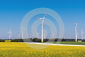 Flourishing rapeseed field with wind turbines