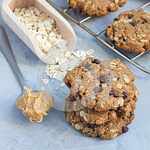 Flourless gluten free peanut butter, oatmeal and chocolate chips cookies on cooling rack, square format