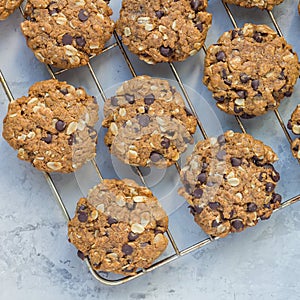 Flourless gluten free peanut butter, oatmeal and chocolate chips cookies on cooling rack, top view, square