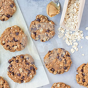 Flourless gluten free peanut butter, oatmeal and chocolate chips cookies on parchment, top view, square