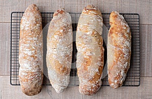 Floury home made ciabatta sour dough loaves cooling on a wire tray, baked during the Coronavirus lockdown.