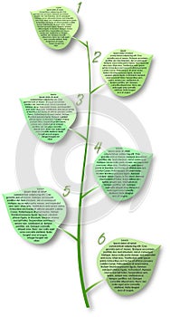 Flover stem with leafs with places for text