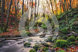 The Flow of a Beautiful Autumn Stream