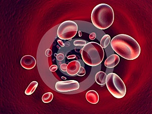 Flow of blood inside an artery