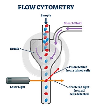 Flow cytometry vector illustration. Labeled measurement instrument scheme.