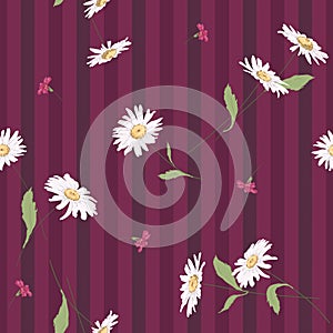 Flow_hddn_sml_015Seamless vector floral pattern with daisy flowers on striped background in white and purple colors. Ditsy print