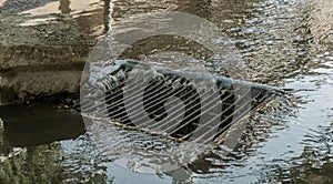 Flow of water during heavy rain and clogging of street sewage. The flow of water during a strong hurricane in storm sewers. Sewage