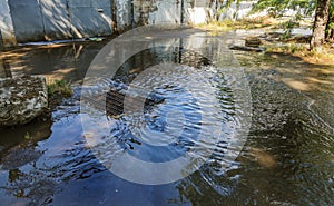 Flow of water during heavy rain and clogging of street sewage. The flow of water during a strong hurricane in storm sewers. Sewage