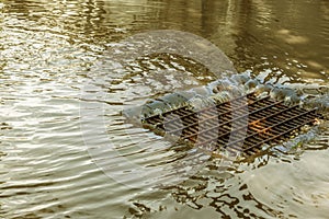 Flow of water during heavy rain and clogging of street sewage. The flow of water during a strong hurricane in storm sewers. Sewage