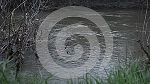 flow of water in the river green grass bushes