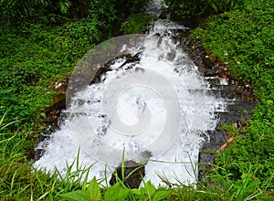 Flow of White Frothy Water Running Away into Greenery