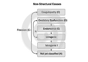 Flowchart depicting non-structural causes of a