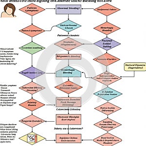 Flowchart featuring a series of interconnected colored shapes and arrows,