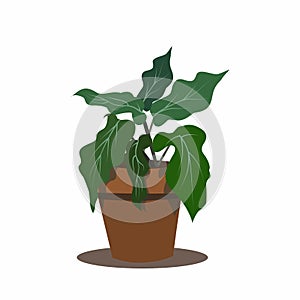 Flower pot with tropical leaves