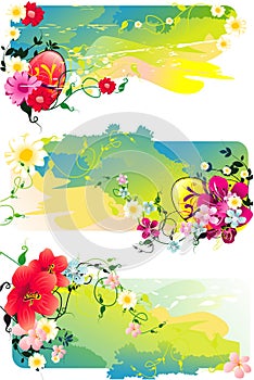 Flower abstract illustration