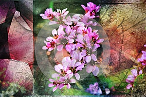 Flower abstract Photoshop background