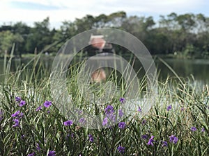 Flower around the lake